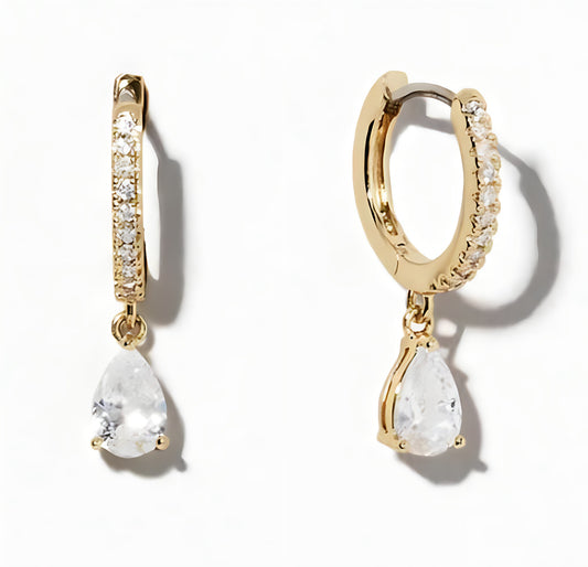 Hoop Earrings with Pendant